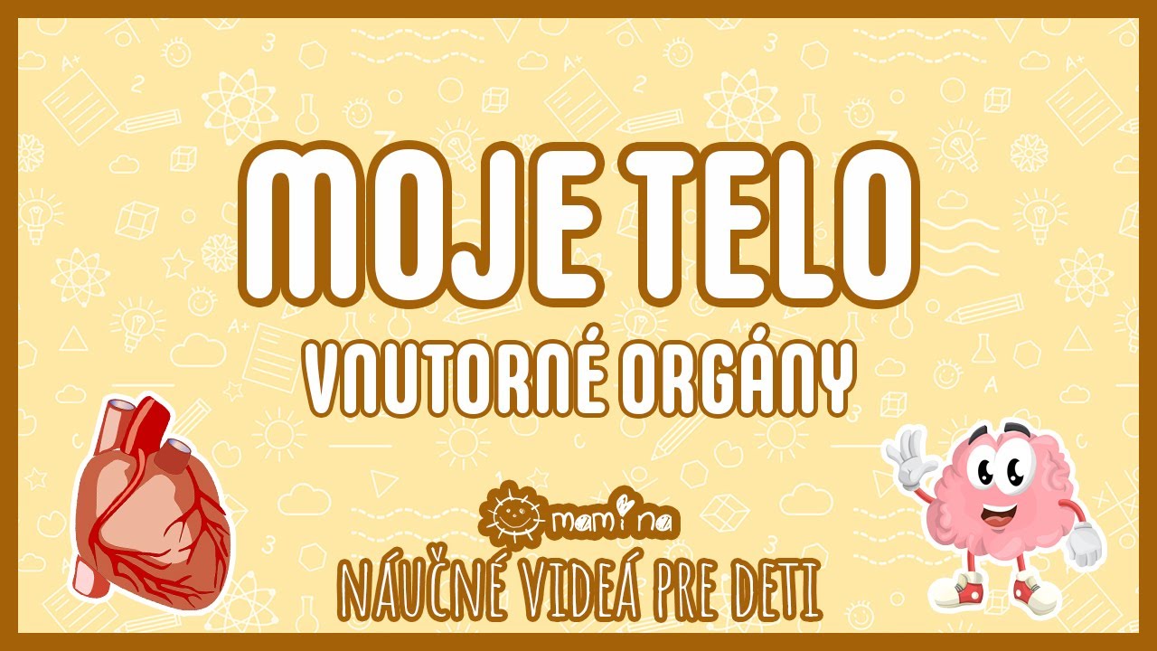 Moje telo -  vnútorné orgány | maminask :)