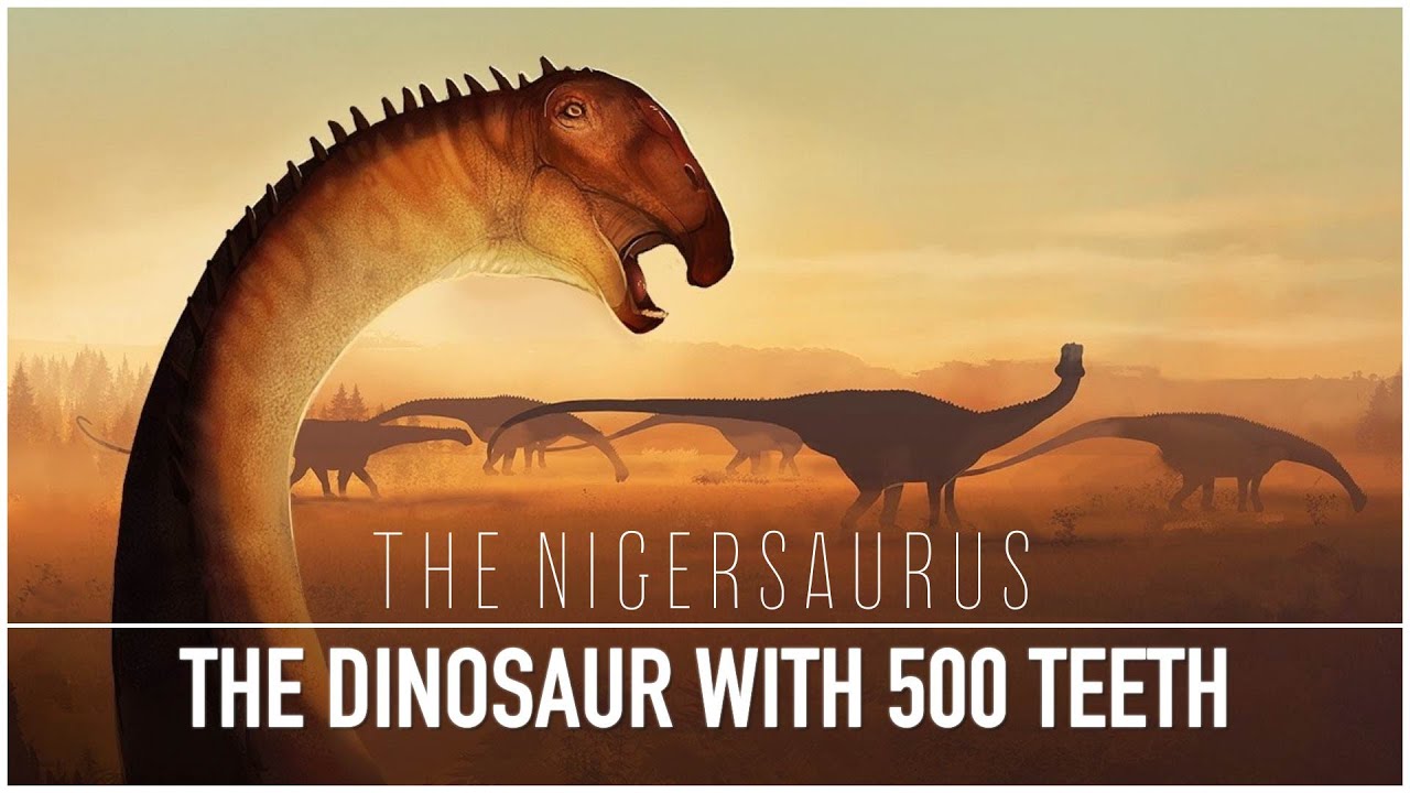 Nigersaurus: The Dinosaur with 500+ Teeth | Dinosaur Documentary