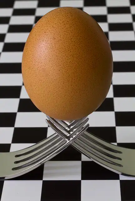 Nekonečná dilema: Čo bolo skôr, vajce alebo sliepka? 2 vajce