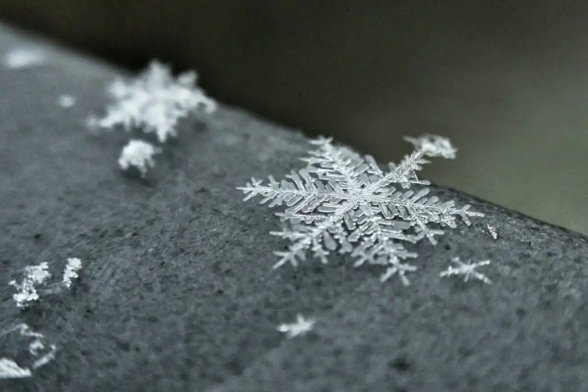 Zaujímavosti a fakty, o ktorých si ani len netušil 4 a snowflake that is sitting on a table