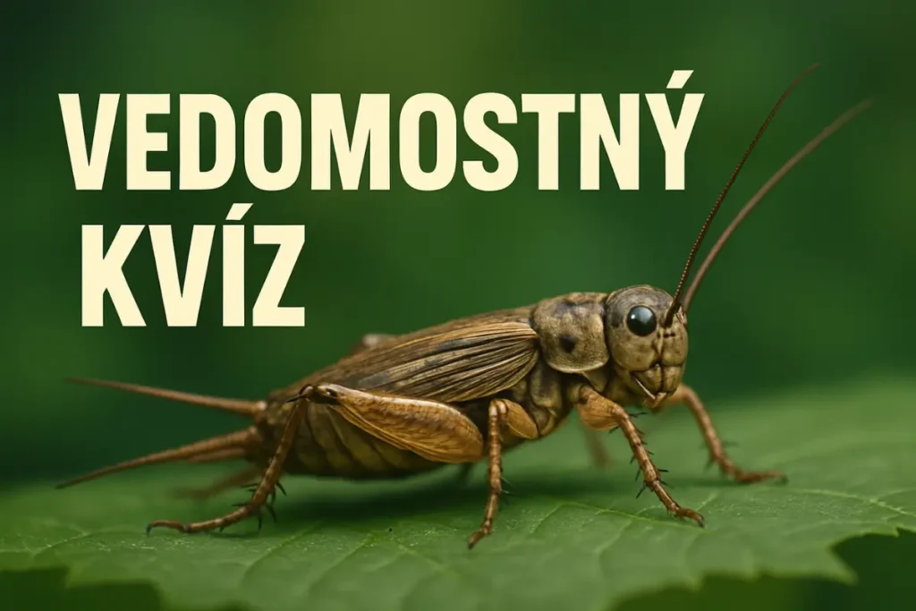 všeobecný vedomostný test pre dospelých titulna