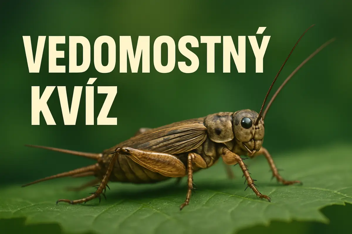 všeobecný vedomostný test pre dospelých titulna