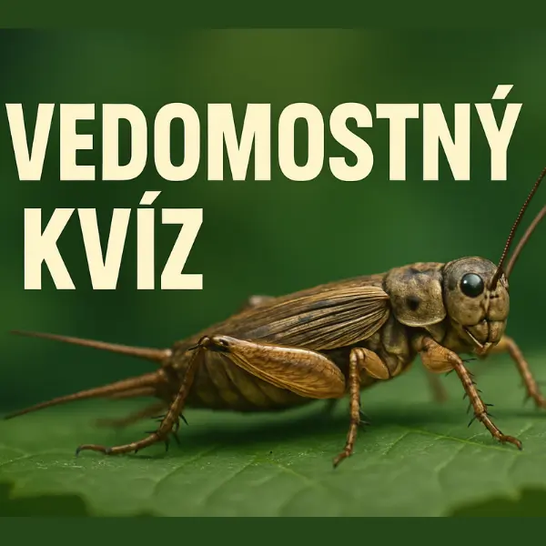 všeobecný vedomostný test pre dospelých