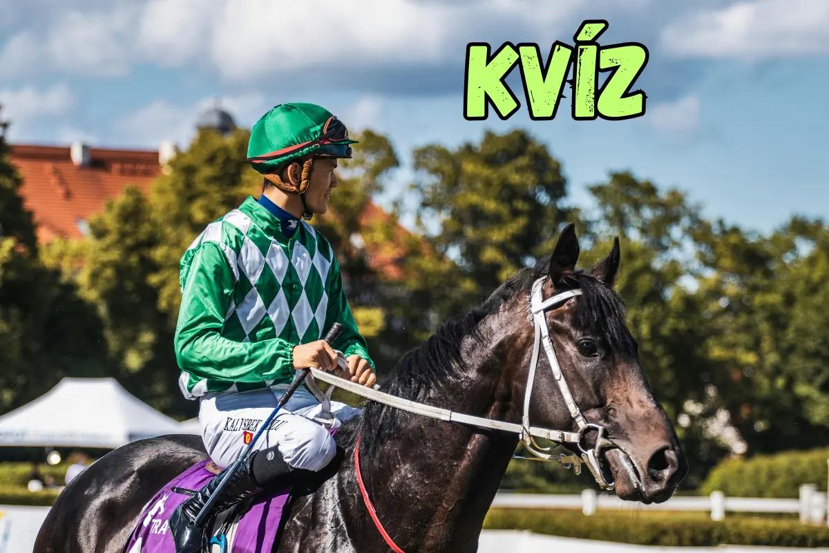 Kvíz plný bežných aj nevšedných otázok, ktoré potrápia každého dospelého #83 1 Kvíz plný bežných aj nevšedných otázok tiutlna