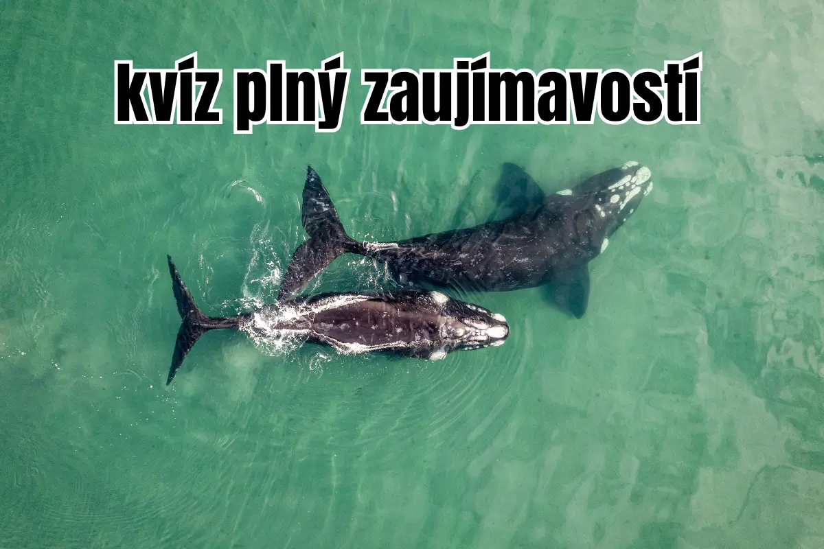 10 otázok o prírode titulna