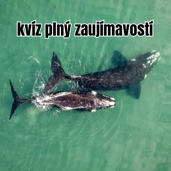 10 otázok o prírode