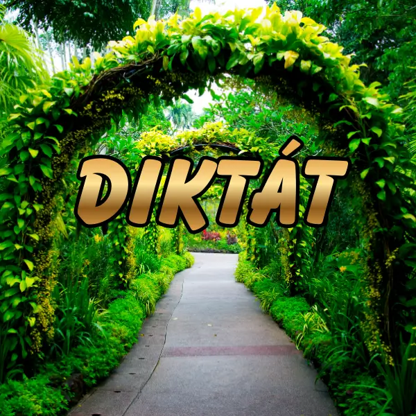 pravopisný diktát 167 